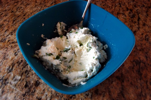 Cilantro Lime Ricotta Mixed
